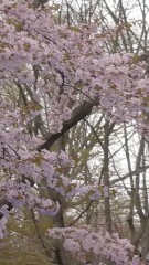 5��8���̐H��